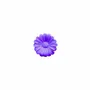 Scent diffusers - TERRE DAISIES – LARGE DISPLAY, 60 PCS - NATURE & BOTANIC