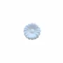 Scent diffusers - TERRE DAISIES – LARGE DISPLAY, 60 PCS - NATURE & BOTANIC