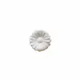 Scent diffusers - TERRE DAISIES – LARGE DISPLAY, 60 PCS - NATURE & BOTANIC