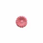 Scent diffusers - TERRE DAISIES – LARGE DISPLAY, 60 PCS - NATURE & BOTANIC