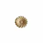 Scent diffusers - TERRE DAISIES – LARGE DISPLAY, 60 PCS - NATURE & BOTANIC