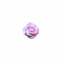 Scent diffusers - TERRE ROSES – LARGE DISPLAY, 60 PCS - NATURE & BOTANIC