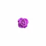 Scent diffusers - TERRE ROSES – LARGE DISPLAY, 60 PCS - NATURE & BOTANIC