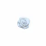 Scent diffusers - TERRE ROSES – LARGE DISPLAY, 60 PCS - NATURE & BOTANIC
