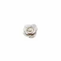 Scent diffusers - TERRE ROSES – LARGE DISPLAY, 60 PCS - NATURE & BOTANIC