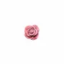 Scent diffusers - TERRE ROSES – LARGE DISPLAY, 60 PCS - NATURE & BOTANIC