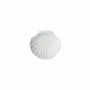 Scent diffusers - SMALL SHELL TRAYS – 84 PCS - NATURE & BOTANIC