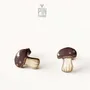 Porcini Mushroom Stud Earrings - PINTONIK
