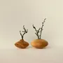 Vases - Wooden Vase - WOODEN STORY