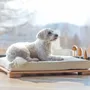 Beds - Wooden Pet Bed - WOODEN STORY
