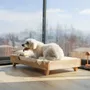 Beds - Wooden Pet Bed - WOODEN STORY