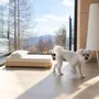 Beds - Wooden Pet Bed - WOODEN STORY