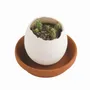 Cadeaux - Eggling - NOTED