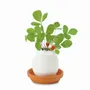 Cadeaux - Eggling - NOTED