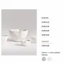 Design objects - BOWL - PAOLA PARONETTO