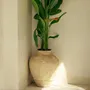 Decorative objects - Cantik Cream Jar - DESIGN TRIP