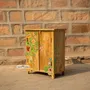 Sideboards - Jaipur Petite Hand-Painted Solid Wood Cabinet by House of Jaipur - HOUSE OF JAIPUR