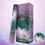 Home fragrances - Terra Charcoal Free Incense Hexa - Lotus 30g - ARABESK