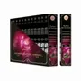 Scents - Parfum de Gemmes Rose & Rose Quartz Smudge Stick Incense 20g - ARABESK