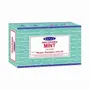 Home fragrances - Satya Mint Incense 15g - Box of 12 packs - ARABESK