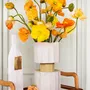 Countertops - SAFA - PAOLA PARONETTO