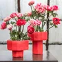 Design objects - COPPA NINFEA - PAOLA PARONETTO
