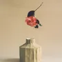 Design objects - FIDE VASE - PAOLA PARONETTO