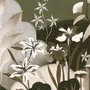 Wallpaper - Custom wall decor - OREA - LGD01 DECOR MURAL SUR MESURE