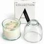 Candles - COLLECTION A - LIFE ON VENUS