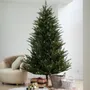 Autres décorations de Noël - ARKANSAS Dark Green - Sapin de Noël artificiel d'aspect naturel - VAN DER GUCHT, SINCE 1870