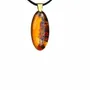 Jewelry - Bog Oak & Amber Pendant Necklace – Drop – Natural Droplet / Pear - GLASS4CANDLES