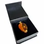 Jewelry - Bog Oak & Amber Pendant Necklace – Drop, 37x26x6 mm – Natural Droplet - GLASS4CANDLES