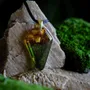Jewelry - Baltic Amber & Resin Pendant – Shield, 39x24x6 mm – Emerald Reverie - GLASS4CANDLES
