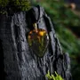 Jewelry - Baltic Amber & Resin Pendant – Drop, 37x26x6 mm – Emerald Reverie - GLASS4CANDLES