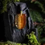 Jewelry - Bog Oak & Gold-Tone Leaf Pendant – Shield, 37x26x6 mm – Golden Eon - GLASS4CANDLES