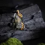 Jewelry - Bog Oak & Gold-Tone Leaf Pendant – Luminous – gold-tone leaf - GLASS4CANDLES