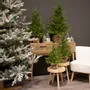 Aménagements pour bureau - DETROIT - Sapin de table artificiel d'aspect naturel - VAN DER GUCHT, SINCE 1870