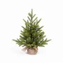 Aménagements pour bureau - DETROIT - Sapin de table artificiel d'aspect naturel - VAN DER GUCHT, SINCE 1870