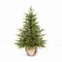 Aménagements pour bureau - DETROIT - Sapin de table artificiel d'aspect naturel - VAN DER GUCHT, SINCE 1870