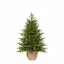 Aménagements pour bureau - DETROIT - Sapin de table artificiel d'aspect naturel - VAN DER GUCHT, SINCE 1870