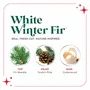 Home fragrances - SCENTSICLES White Winter Fir - Scented Ornaments Sticks - VAN DER GUCHT, SINCE 1870