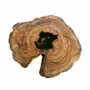 Coffee tables - Walnut Coffee Table – 57x68x78 cm – Walnut Verde - GLASS4CANDLES
