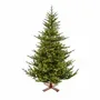 Aménagements pour bureau - SAMI MOUNTAIN SPRUCE - Sapin de Noël préformé d'aspect naturel - VAN DER GUCHT, SINCE 1870