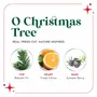 Home fragrances - SCENTSICLES - O Christmas Tree Scented Ornaments Sticks - VAN DER GUCHT, SINCE 1870