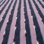 Contemporary carpets - Germogli Rosa Grande, handwoven wool rug 210 x 210 cm - EUGENIA PINNA