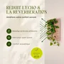 Objets de décoration - Tableau végétal design - plantes vivantes - Sand 60x40 - ARTENA VEGETAL