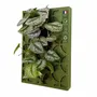 Objets de décoration - Tableau végétal design - plantes vivantes - Retro 60x40 - ARTENA VEGETAL