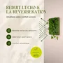 Objets de décoration - Tableau végétal design - plantes vivantes - Retro 60x40 - ARTENA VEGETAL