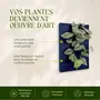 Solutions acoustiques - Tableau végétal design - plantes vivantes - WAVE 40x40 - ARTENA VEGETAL