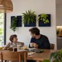 Solutions acoustiques - Tableau végétal design - plantes vivantes - WAVE 40x40 - ARTENA VEGETAL